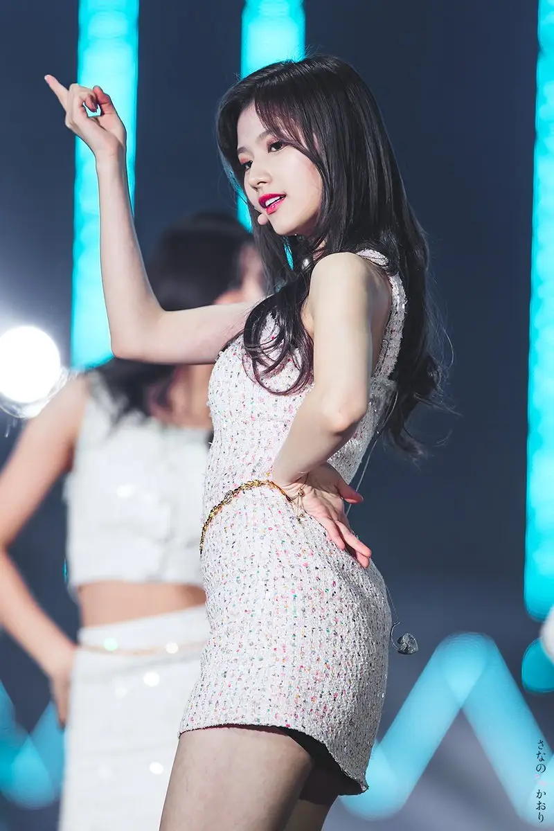 골든디스크 사나