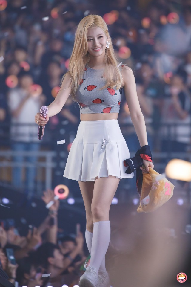 1년전의 사나