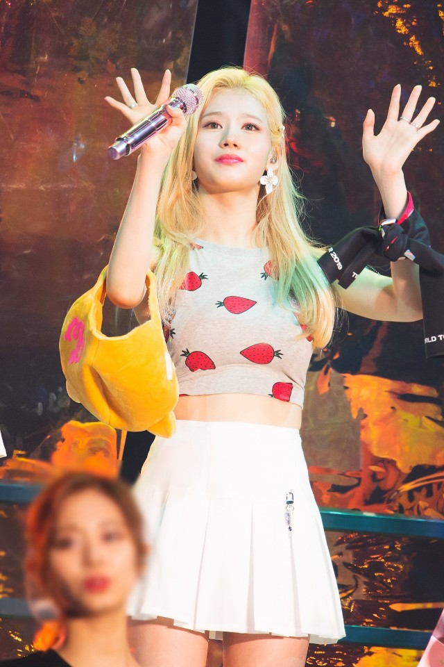 1년전의 사나
