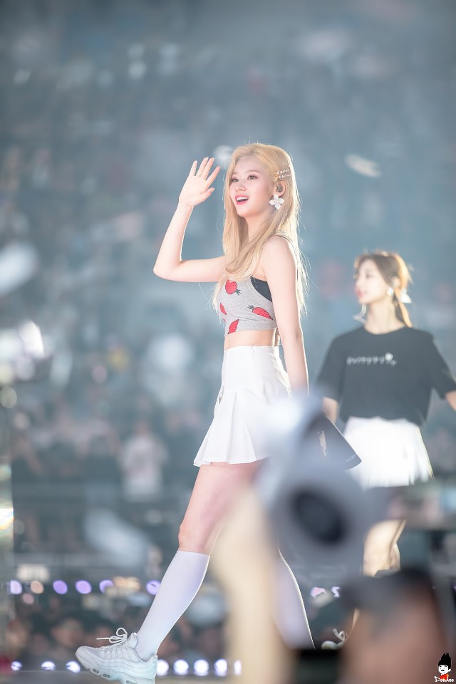 1년전의 사나