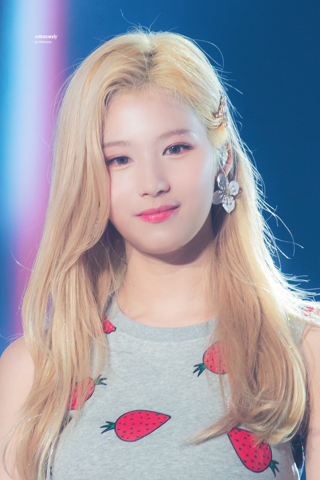 1년전의 사나