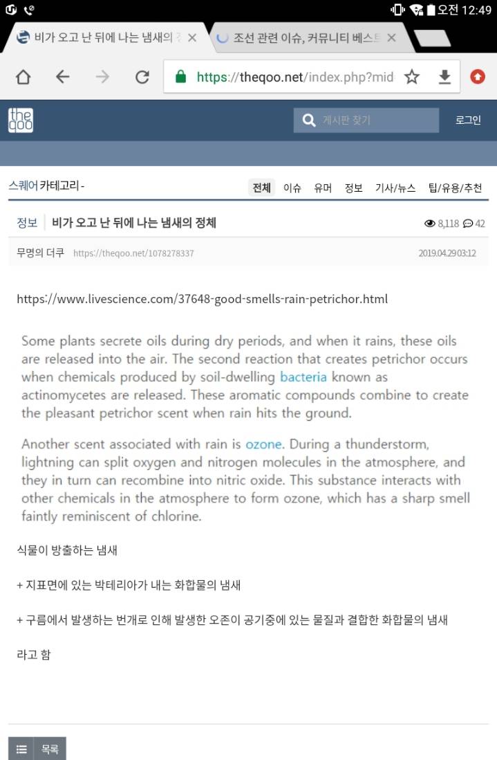 비가 오고 난 뒤에 나는 냄새의 정체