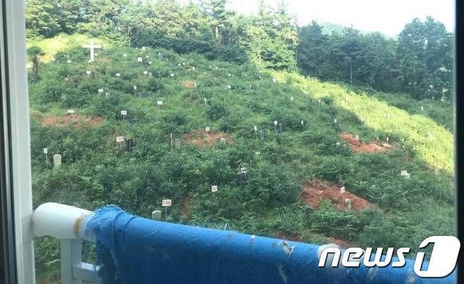 논란의 아파트 뷰