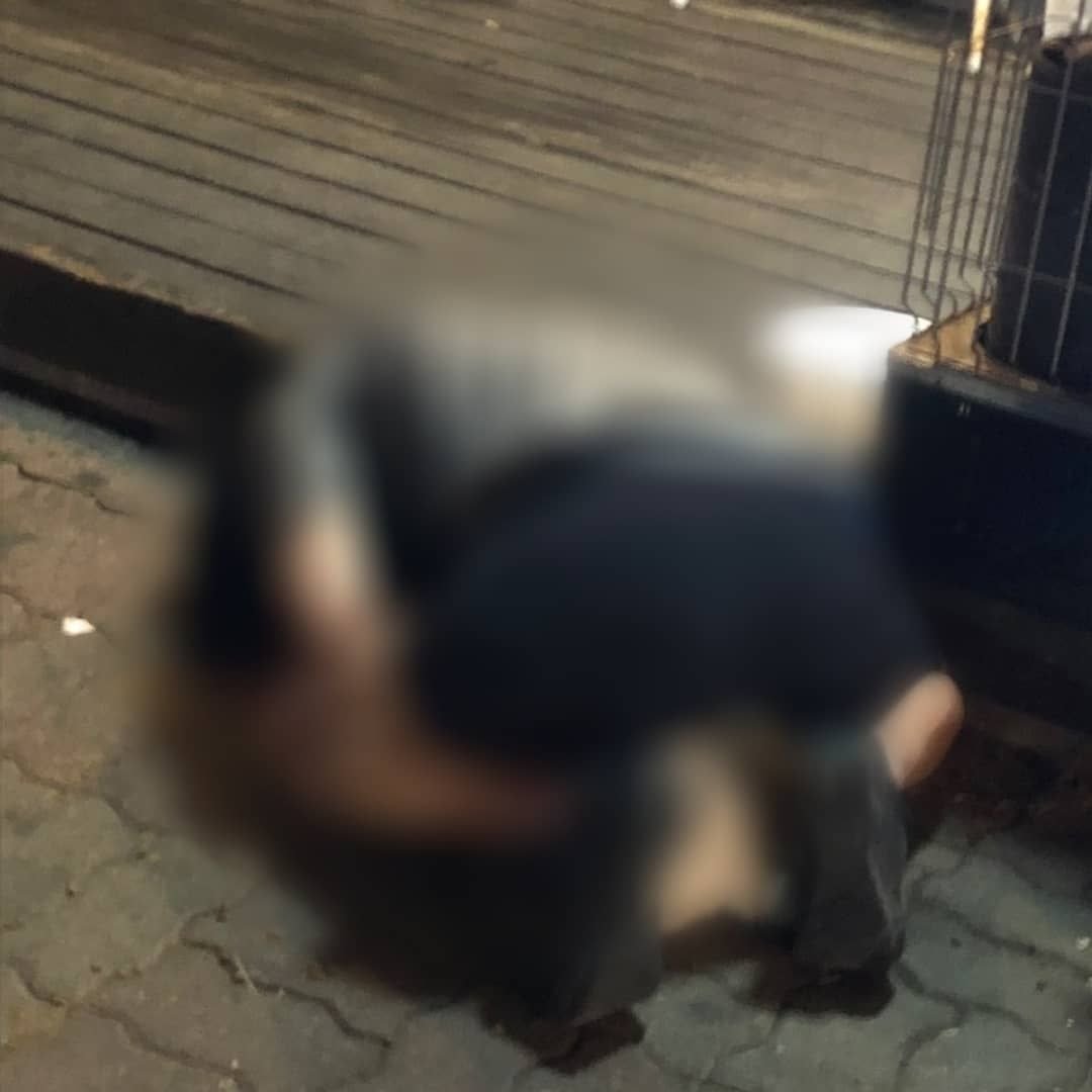 동물학대방지연합 인스타에 올라온 수간 사건