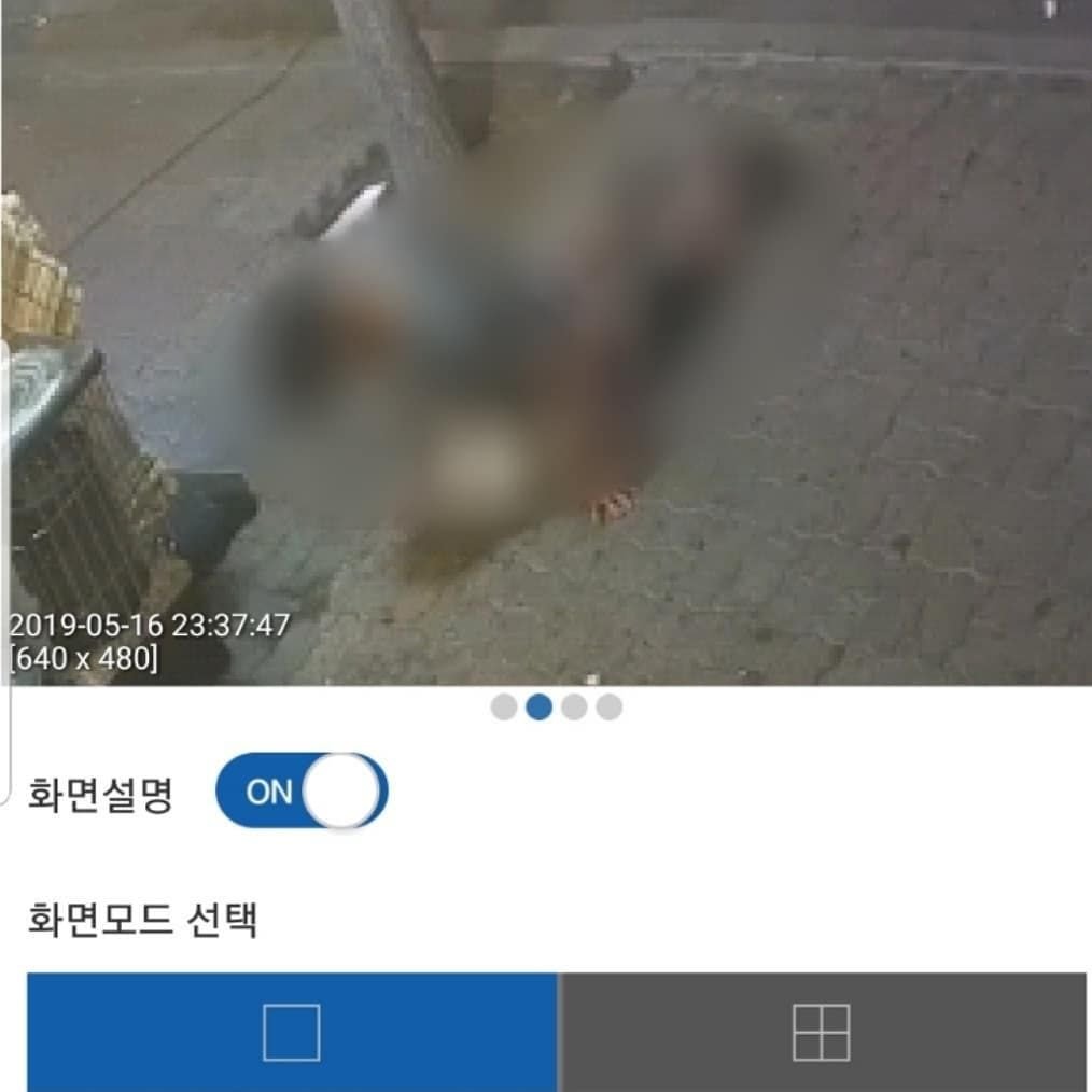 동물학대방지연합 인스타에 올라온 수간 사건