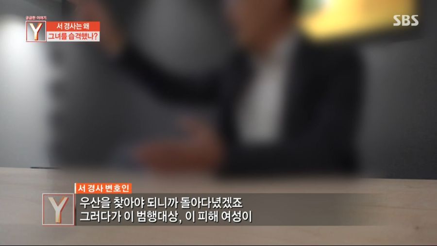 성폭행 하려던 것이 아니라 우산을 받으려 한 것이다 (현직 경찰, 성폭행 미수)