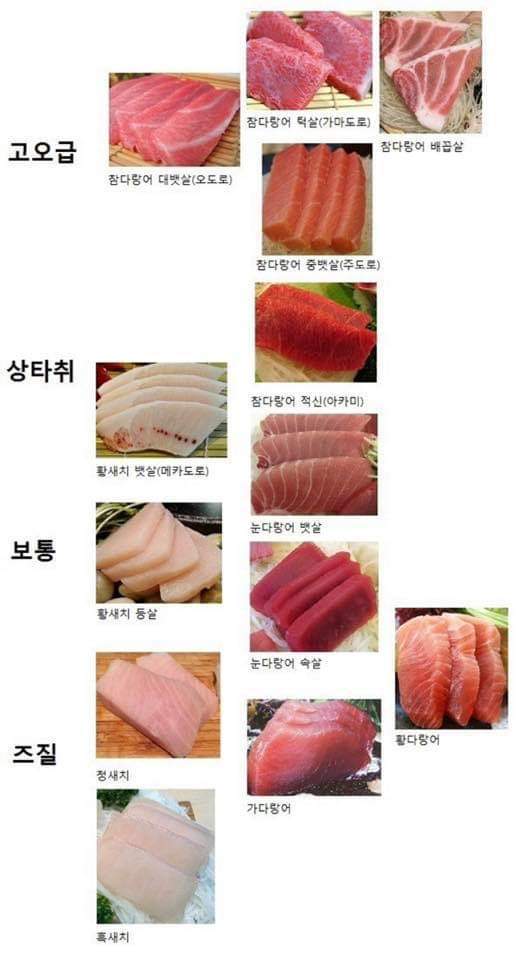 참치부위 서열표