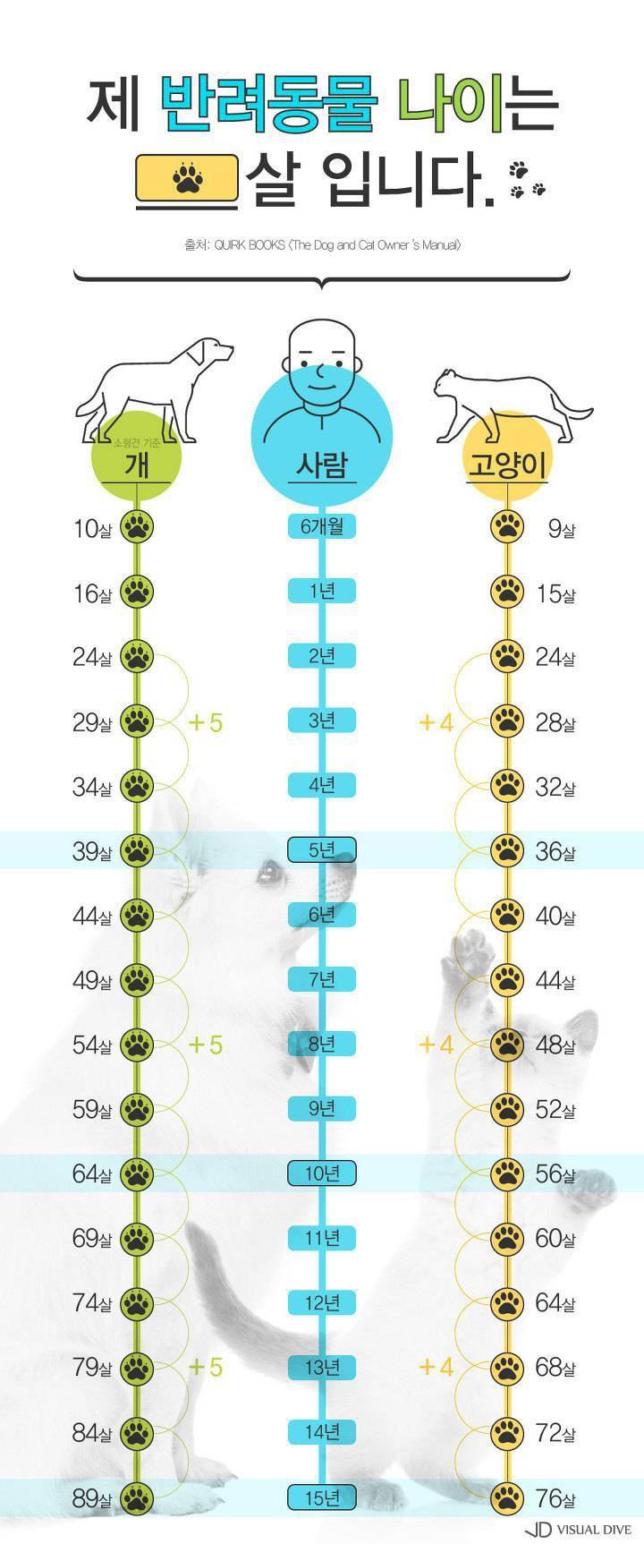 반려 동물 나이 계산법