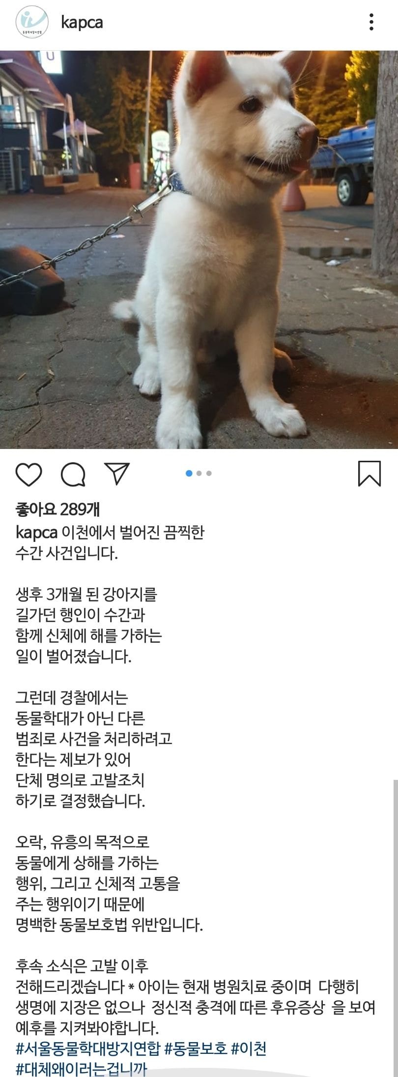 동물학대방지연합 인스타에 올라온 수간 사건