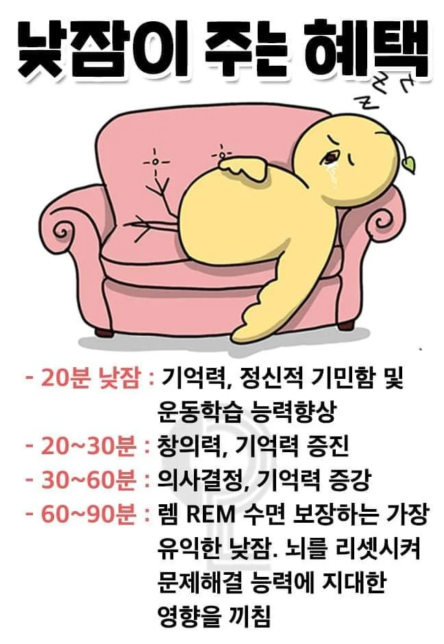 낮잠이 주는 효과