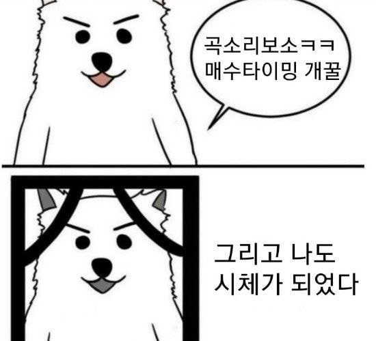 옳다구나!! 지금이 주식 매수타이밍이다!