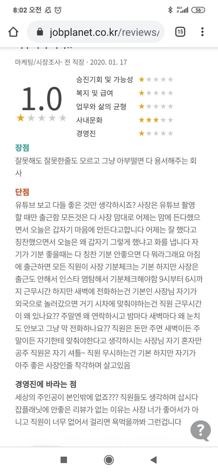 유튜버 하늘이 운영하는 회사 잡플래닛 후기 (하늘하늘)