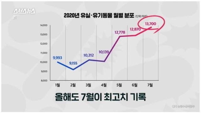 7월이면 급증하는 안타까운...