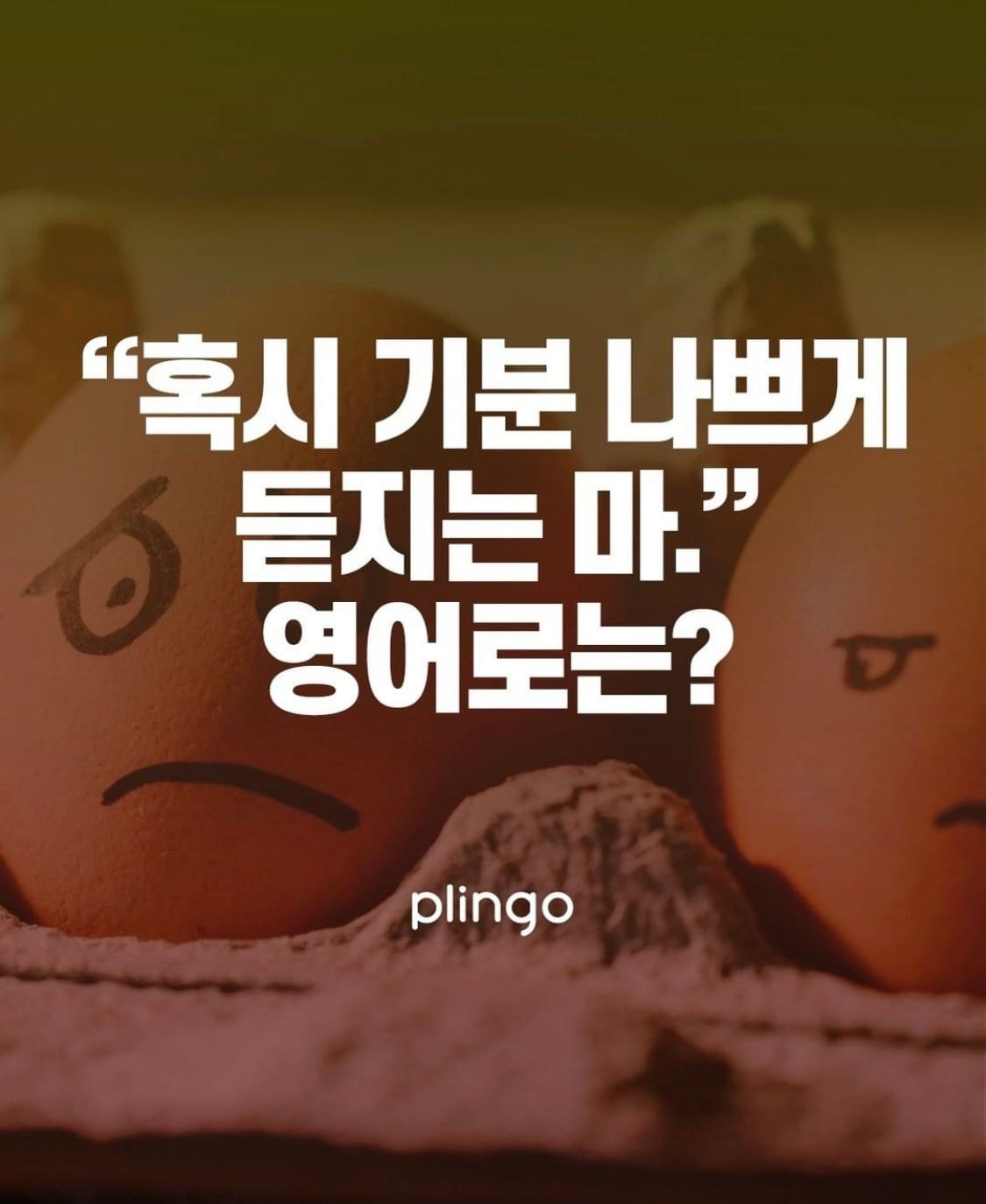 인스타 돌아다니면서 줍줍한 영어 표현들