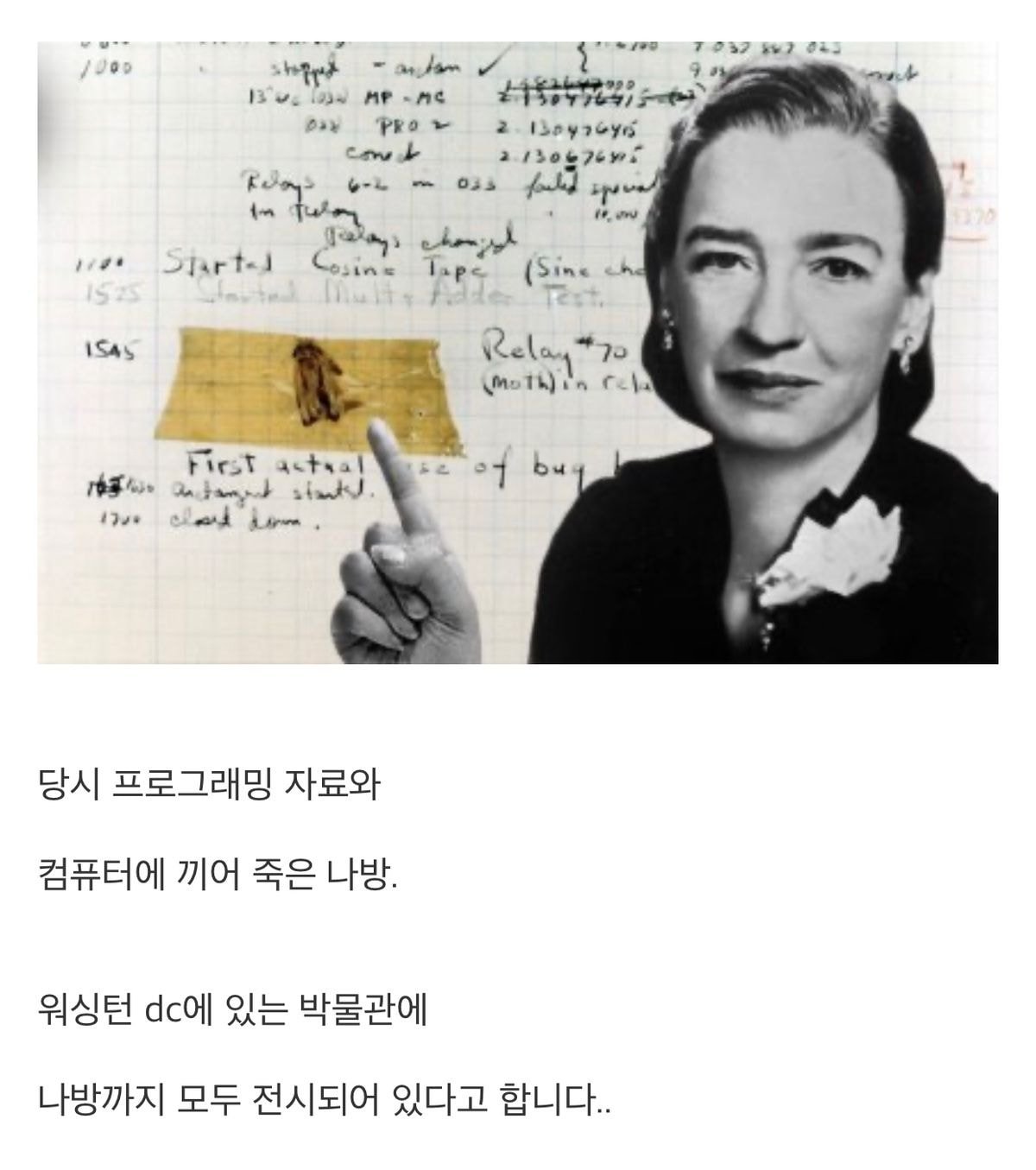 컴퓨터 프로그램 오류를 버그(bug)라고 부르는 이유