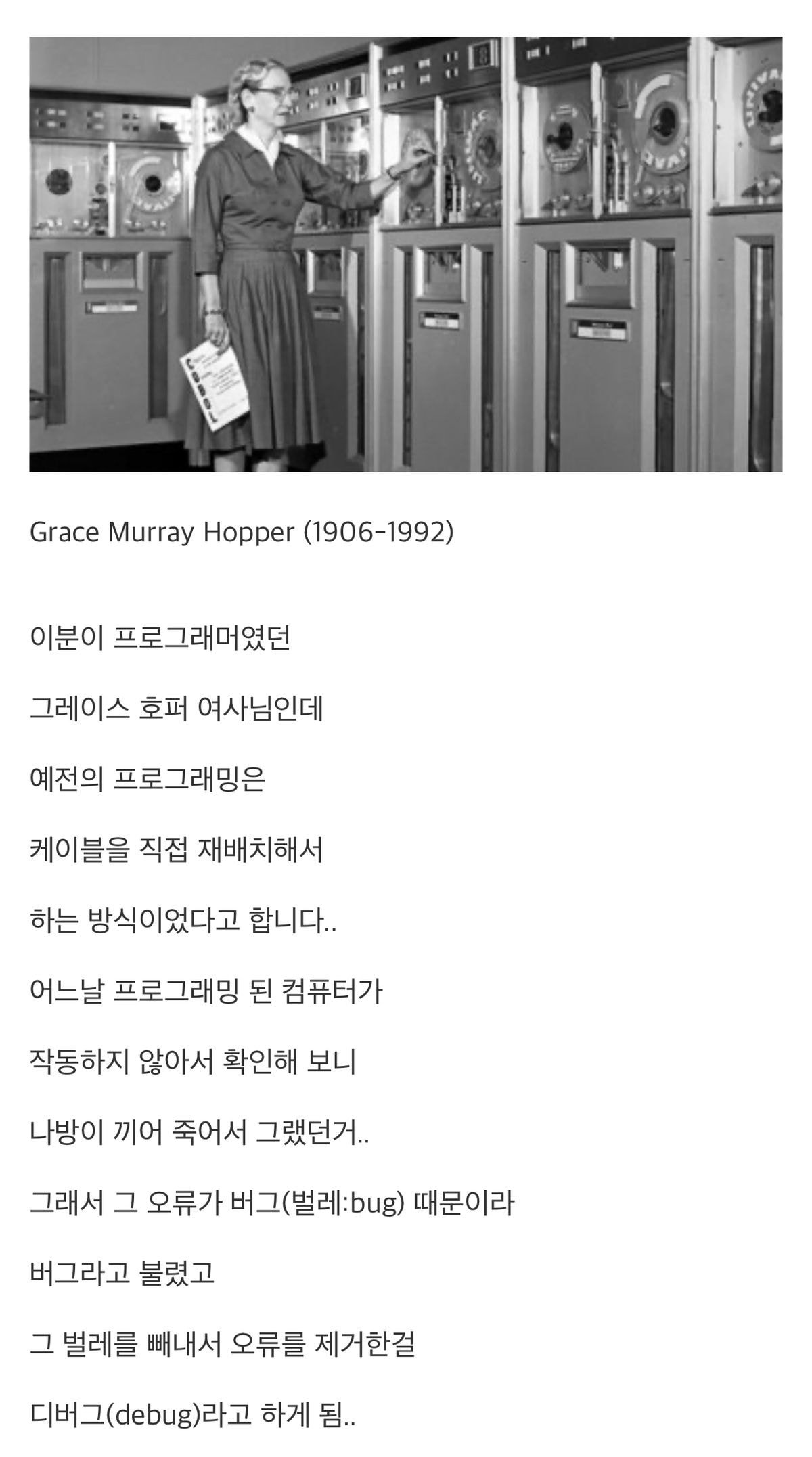 컴퓨터 프로그램 오류를 버그(bug)라고 부르는 이유
