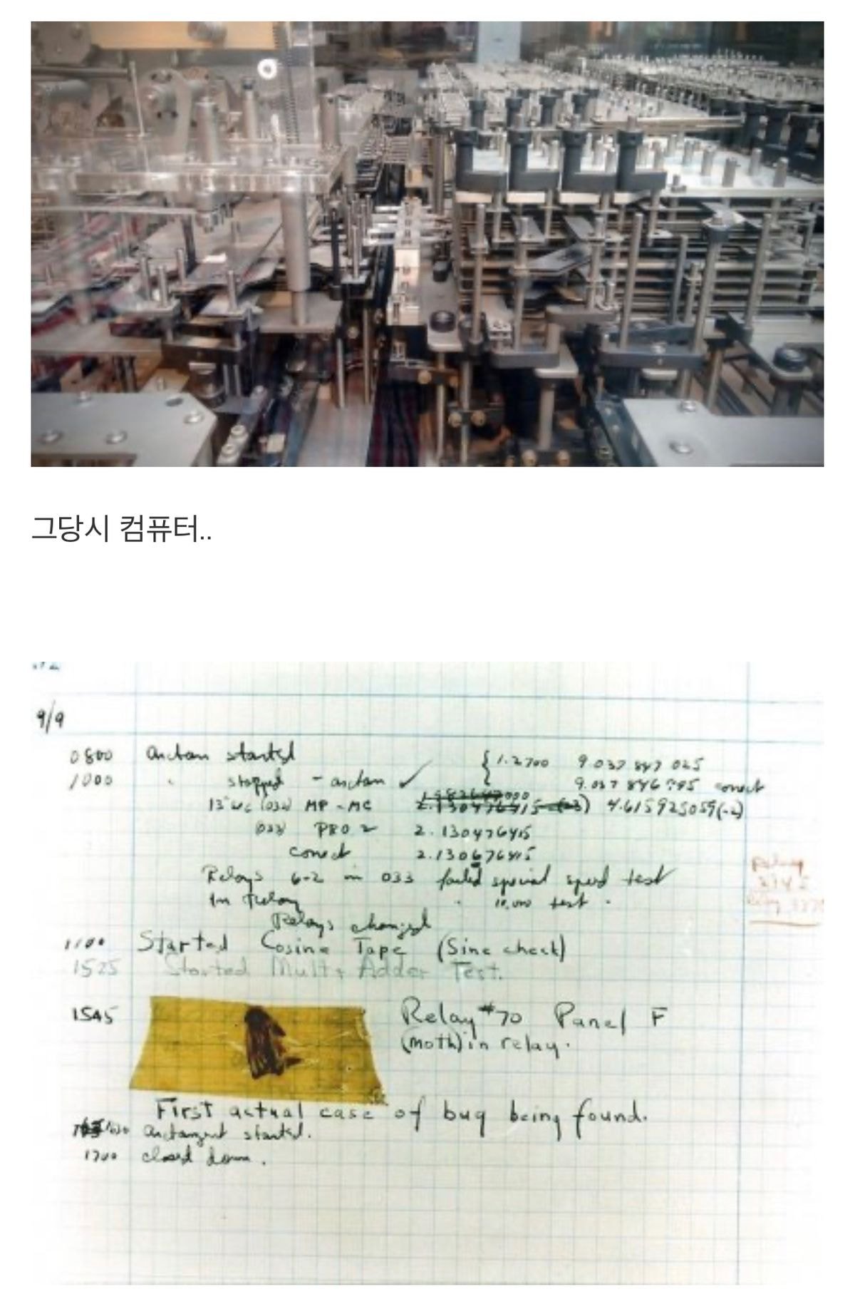 컴퓨터 프로그램 오류를 버그(bug)라고 부르는 이유