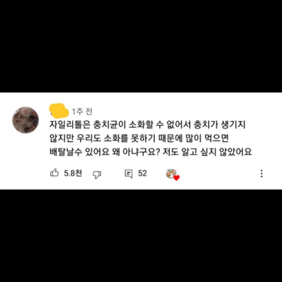 저도 알고 싶지 않았습니다.jpg