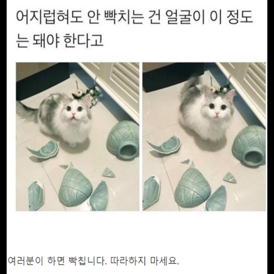 외모와 디자인의 중요성.JPG
