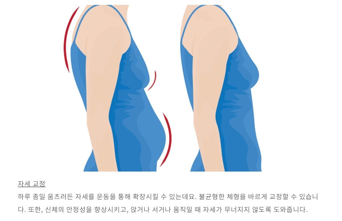 매일 1분 이 자세로 한 달 동안 버티면 생기는 효과 (리버스 플랭크)