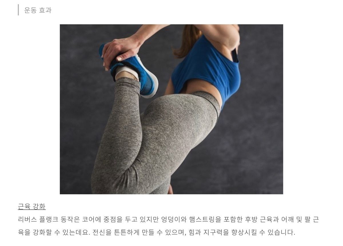 매일 1분 이 자세로 한 달 동안 버티면 생기는 효과 (리버스 플랭크)