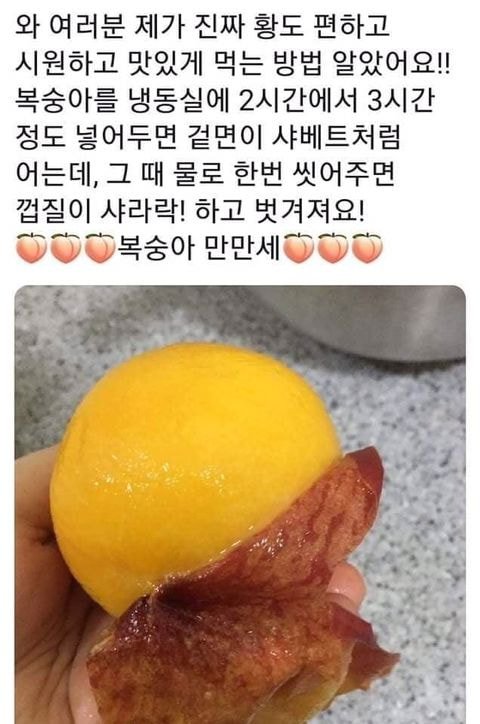 복숭아 쉽게 까는 법