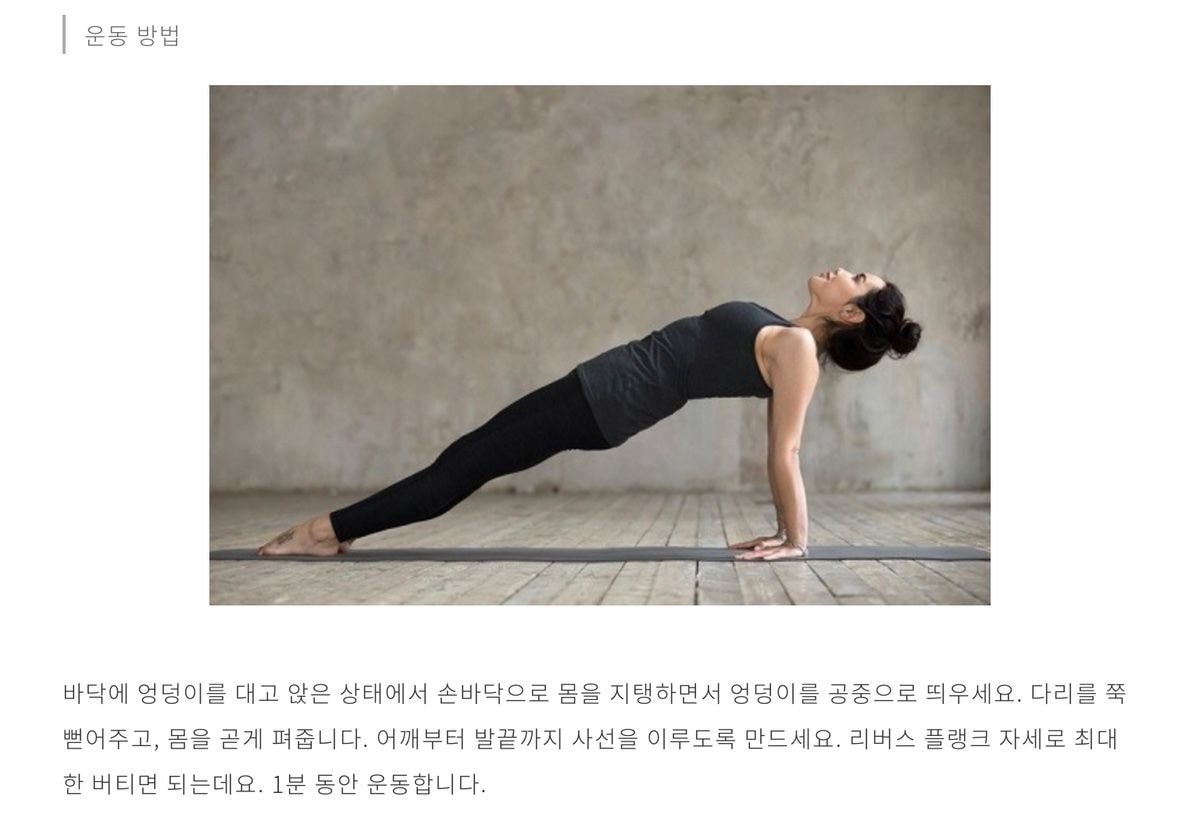 매일 1분 이 자세로 한 달 동안 버티면 생기는 효과 (리버스 플랭크)