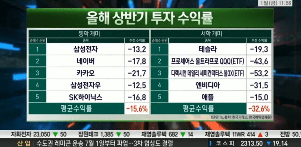 동학개미 vs 서학개미 2022 상반기 주식투자 수익률