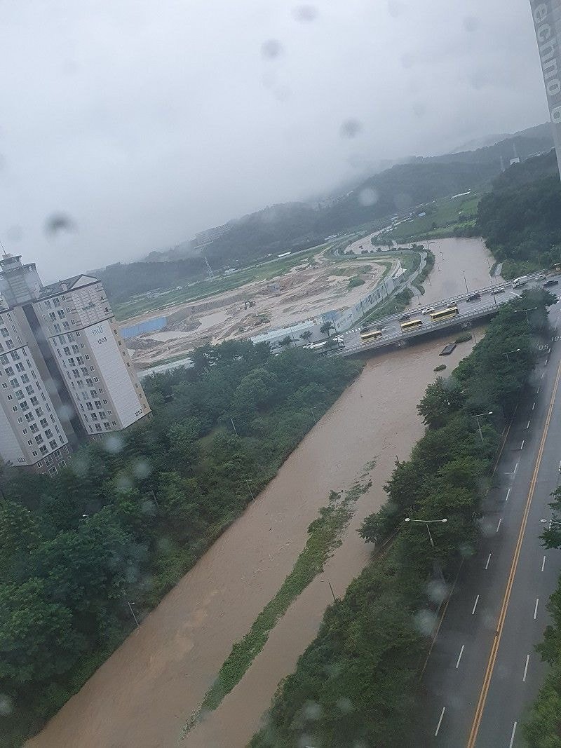 폭우로 난리난 대전.jpg