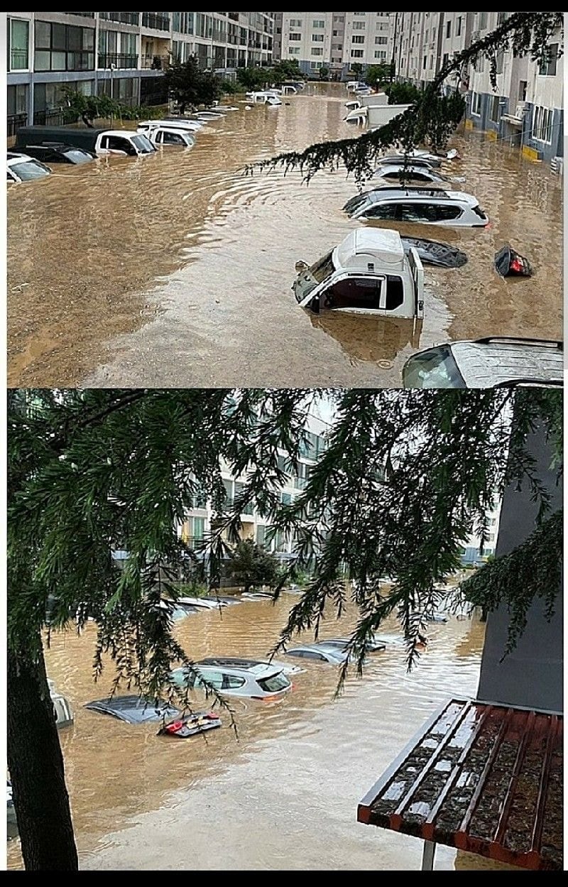 폭우로 난리난 대전.jpg
