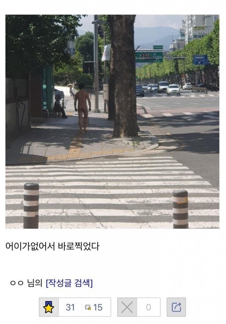 대구 터미네이터