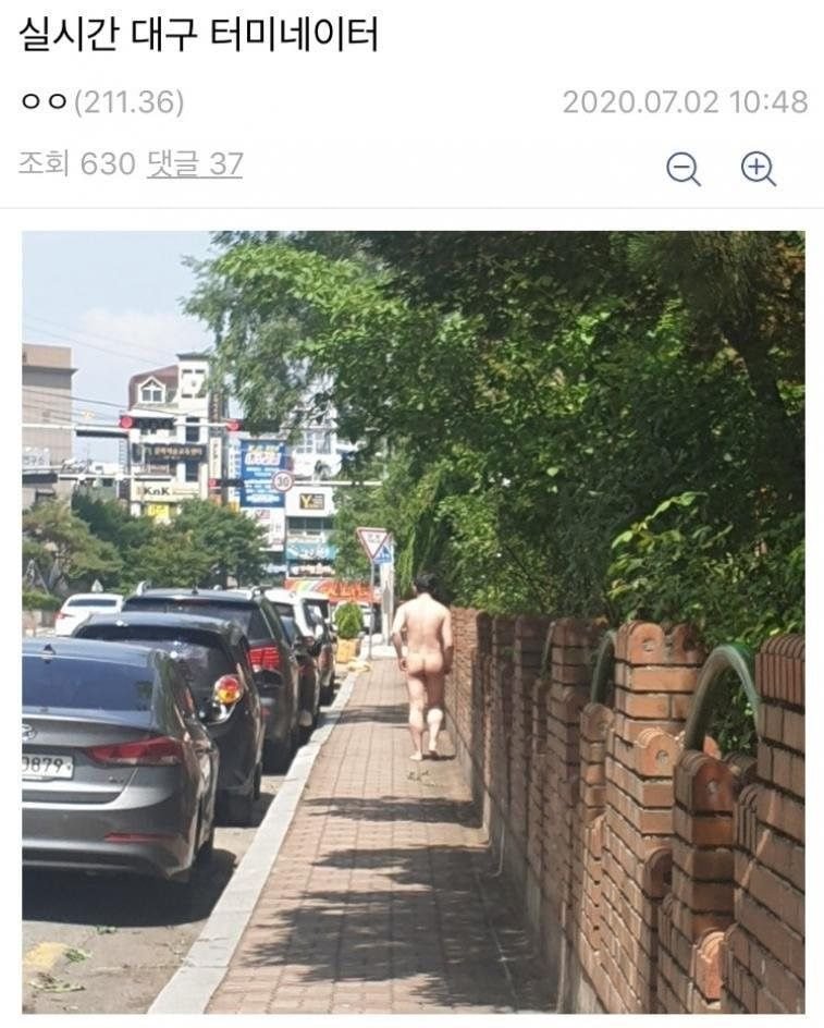대구 터미네이터