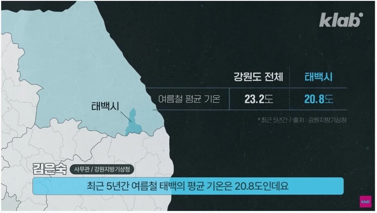 강원도 태백시가 국내에서 제일 시원한 이유