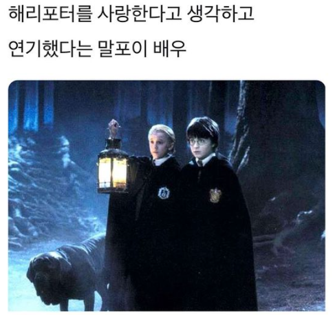 해리포터를 사랑한다고 생각하고 연기했다는 말포이