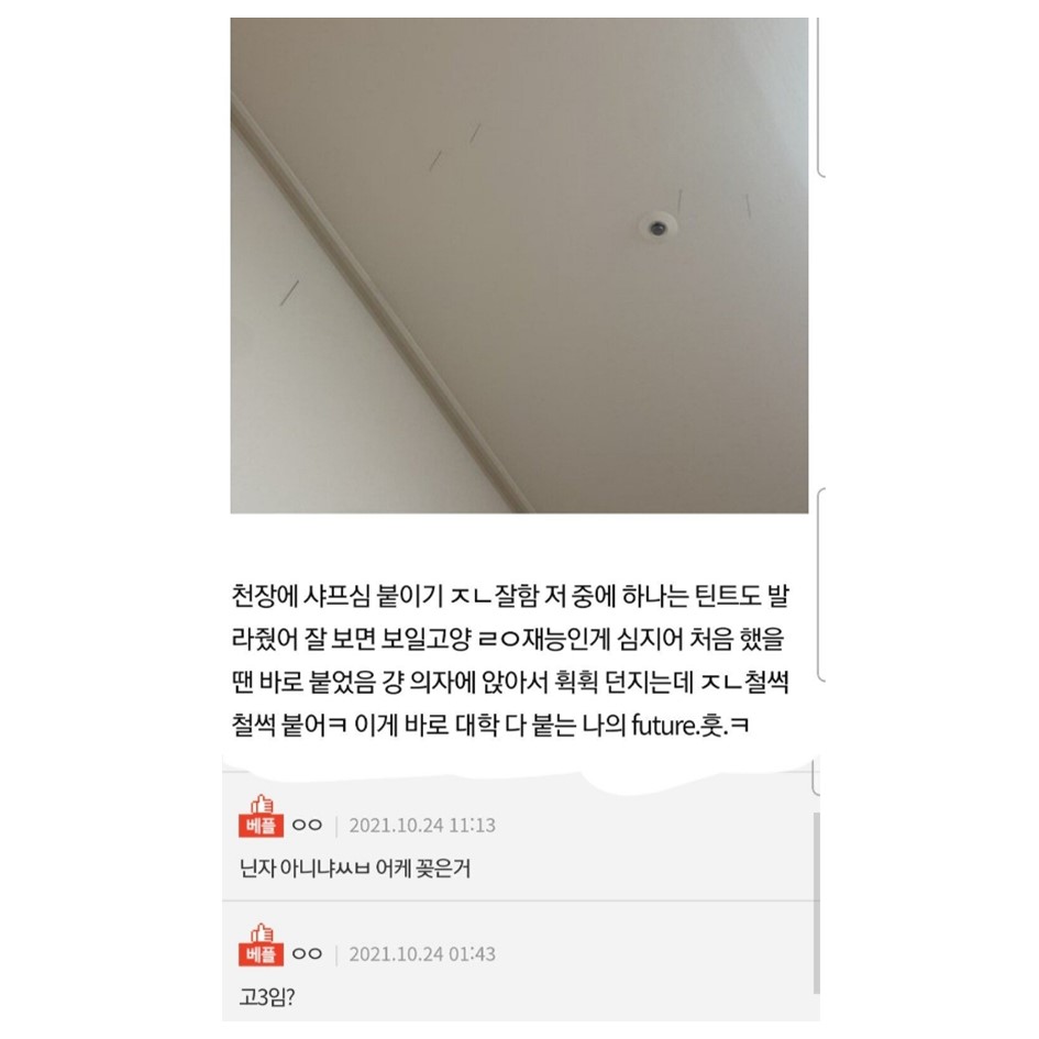 독보적인 재능을 자랑해보자.jpg