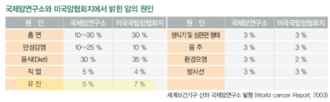 국제암연구소에서 밝힌 암의 원인