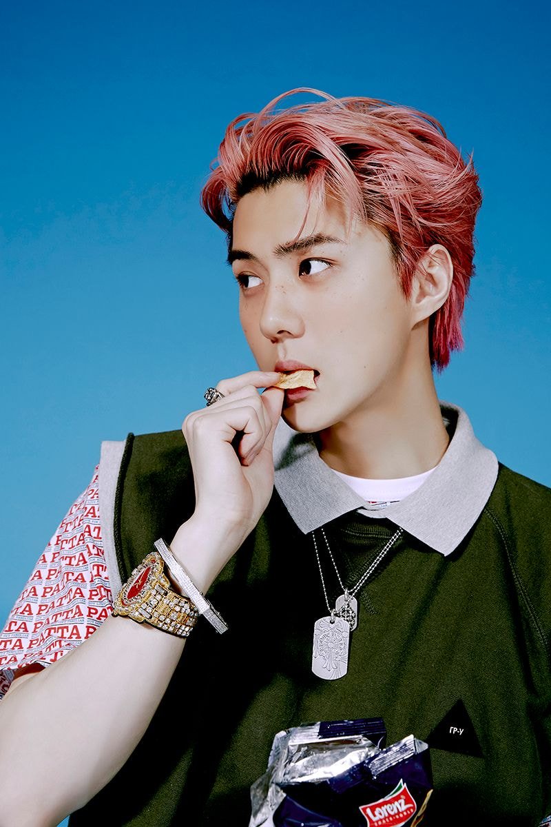 #엑소 세훈&찬열 Teaser Images #4