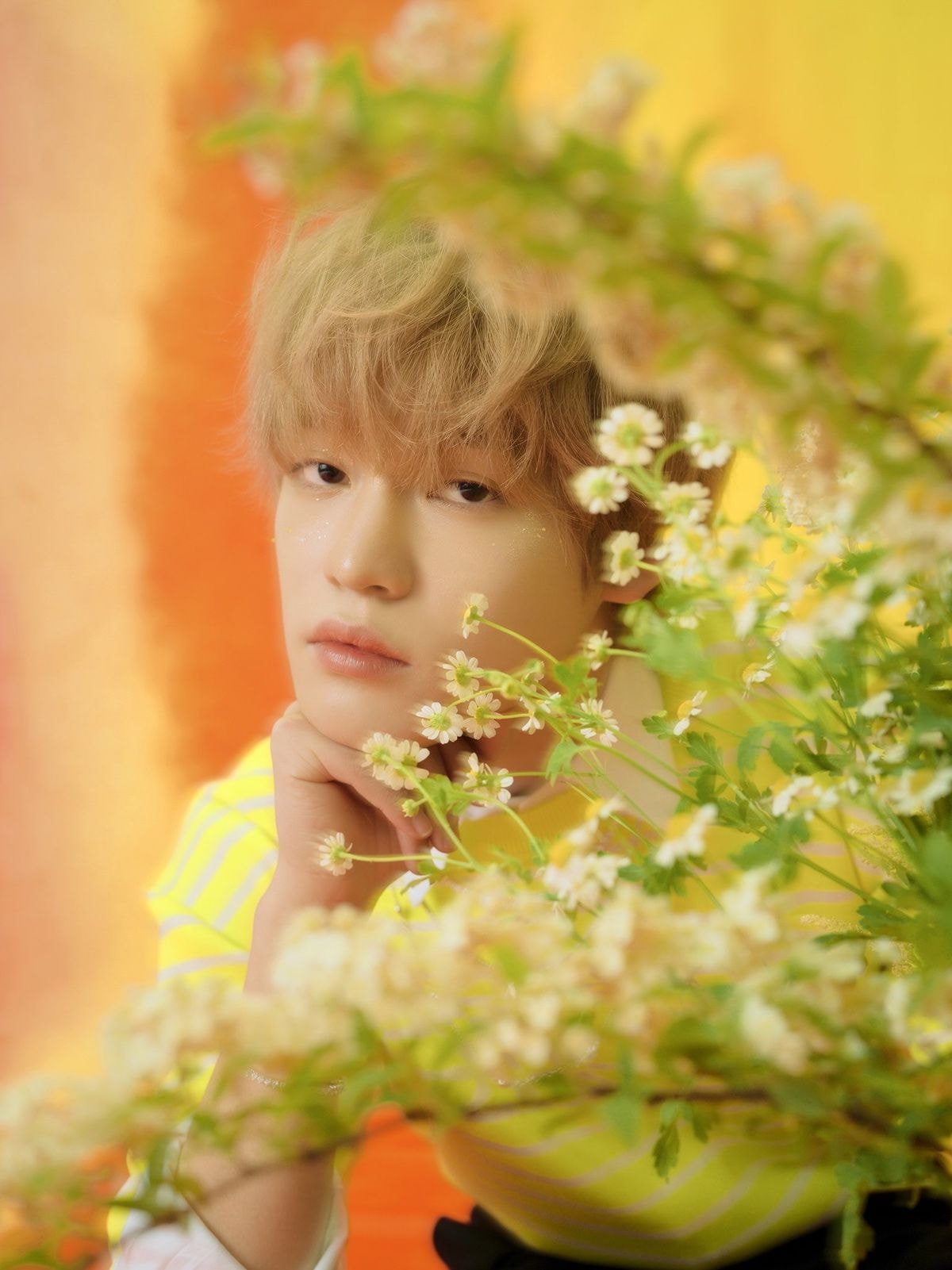 PAST, PRESENT, AND DREAM NCT DREAM The 1st Album Repackage 〖Hello Future〗