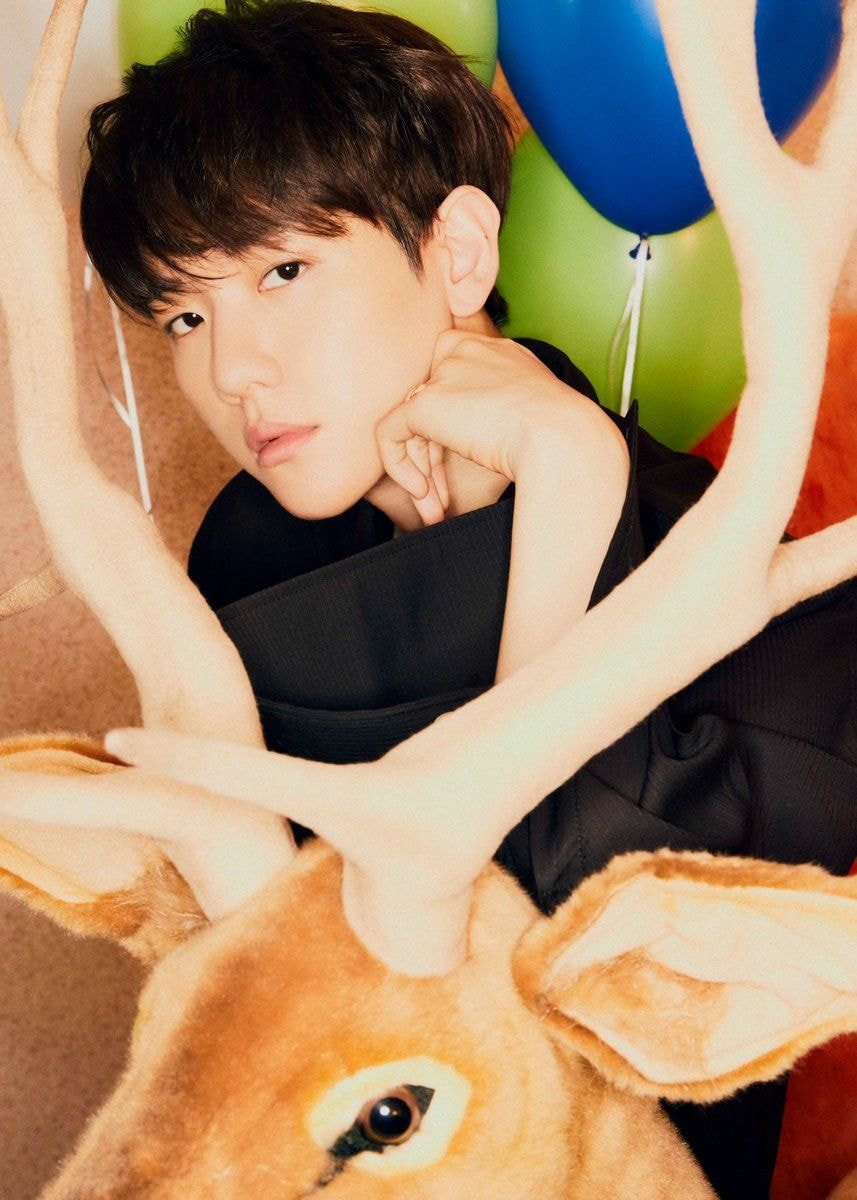 엑소 백현 솔로앨범 미니3집 'Bambi' 티져 이미지