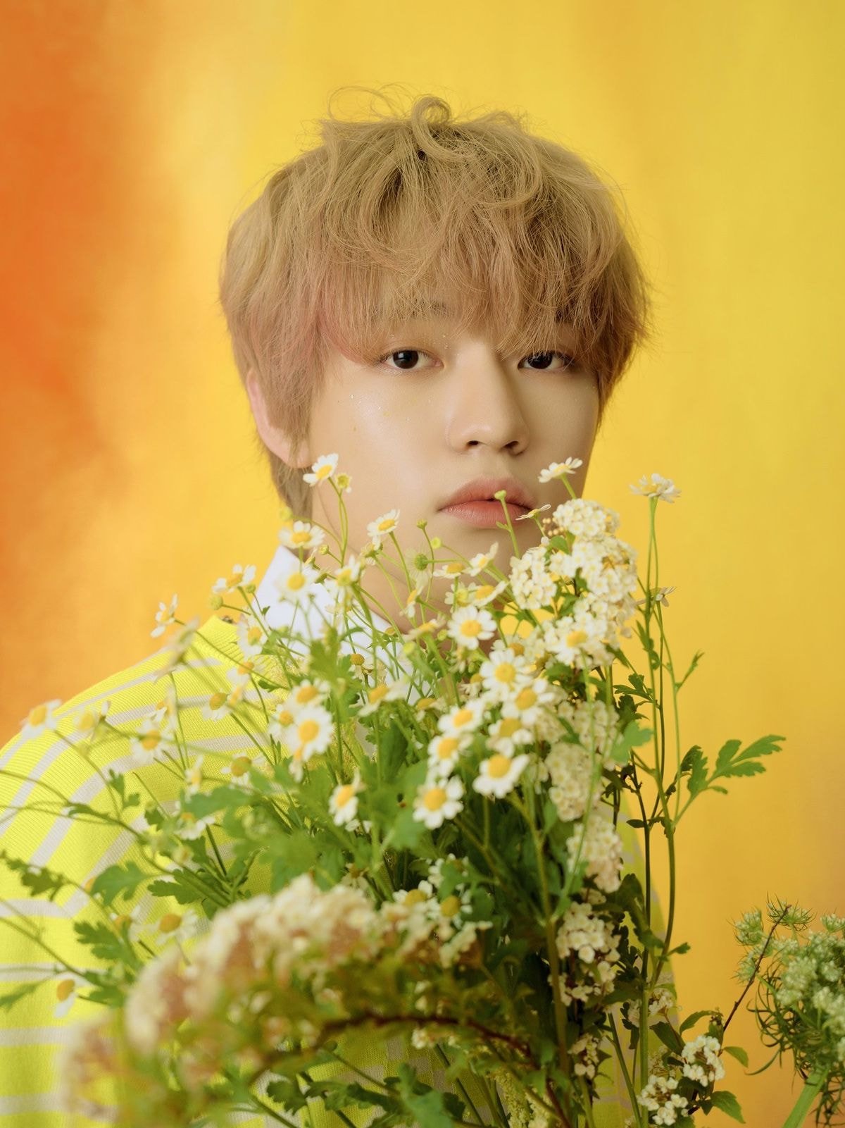 PAST, PRESENT, AND DREAM NCT DREAM The 1st Album Repackage 〖Hello Future〗