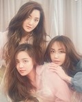 S.E.S.