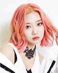 그레이시