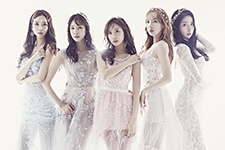 스텔라