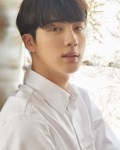 진