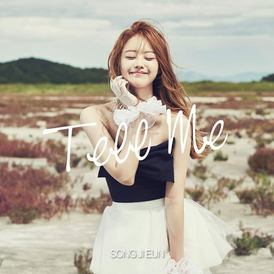 시크릿 송지은