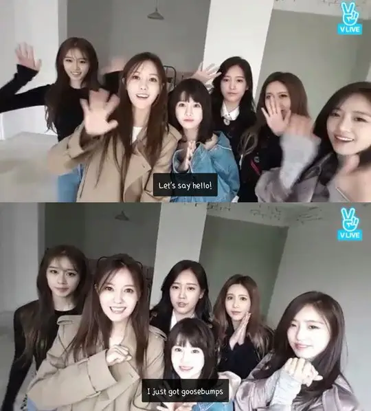 티아라 