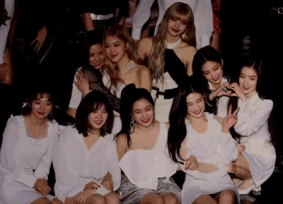 레드벨벳과 블랙핑크가 한 그룹이라면.jpgif