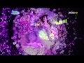 제시카(SNSD) - When you wish upon a star @ 소녀시대의 크리스마스동화