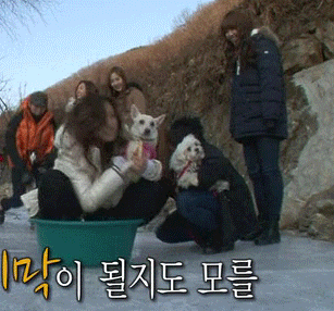 에이핑크 개 안고 넘어지는 움짤