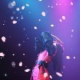 니카